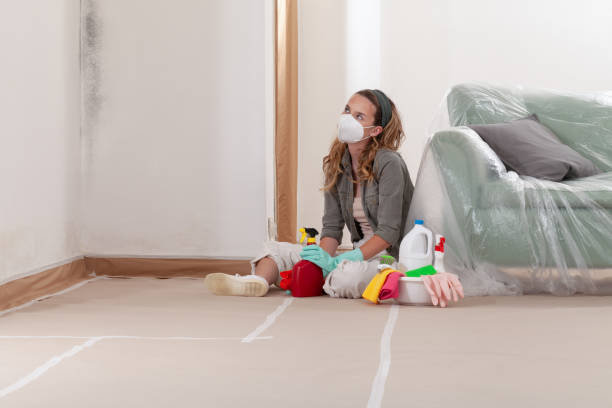 Trusted Black Mold Removal service in Erwin, TN - Cheap Mold Removal